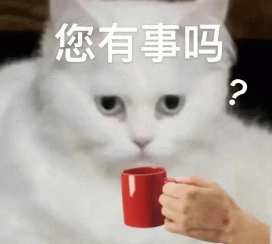 猫咪 猫咪淡定喝茶，疑惑询问，您有事吗
