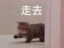 猫咪从门边悠闲地走去