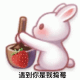 小兔子捣草莓  遇到你是我捣莓