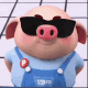 可爱小猪带墨镜装酷
