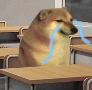 柴犬坐在教室里崩溃流泪