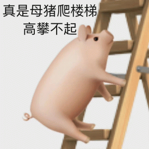 歇后语  母猪爬楼梯  真是母猪爬楼梯 高攀不起
