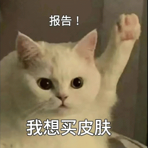 报告！ 我想买皮肤