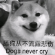 舔狗从不流露悲伤 Dogs never cry