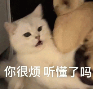 你很烦 听懂了吗表情包图片gif动图 - 求表情网,斗图从此不求人!