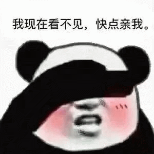 熊猫头害羞捂眼睛  我现在看不见，快点亲我。