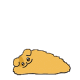 黄油棕色小狗开心睡觉