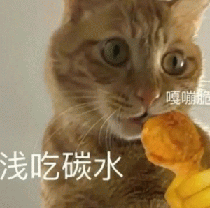 小猫咪嘎嘣脆 浅吃碳水表情包