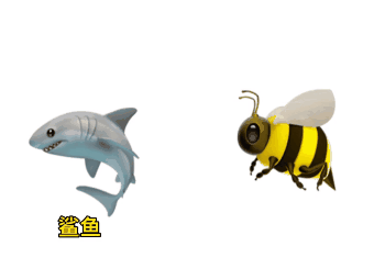 鲨鱼和蜜蜂合体  鲨Bee