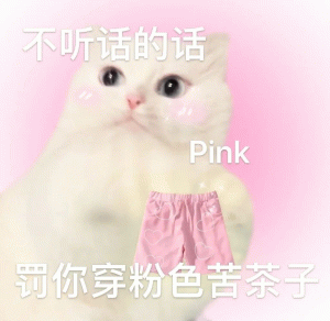 可爱纯欲猫咪不听话的话 Pink 罚你穿粉色苦茶子