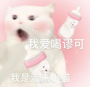 可爱纯欲猫咪我爱喝谬可 我是流来小猫