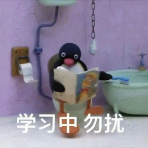 pingu小企鹅学习中勿扰