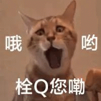 栓Q 栓q 酸q 我真的会谢 我真的会蟹 猫咪张大嘴巴,配文“哦哟 栓Q您嘞”的搞笑表情包表情包图片gif动图 - 求表情网,斗图从此不求人!