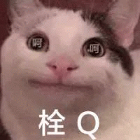 栓Q 栓q 酸q 我真的会谢 我真的会蟹表情包图片gif动图 - 求表情网,斗图从此不求人!