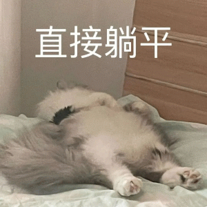 猫咪悠闲  直接躺平