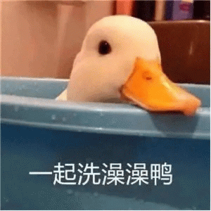 小鸭子害羞问  一起洗澡澡鸭