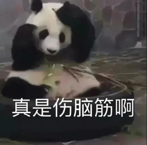 大熊猫  真是伤脑筋啊