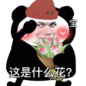 熊猫头害羞脸红说  宝 这是什么花？