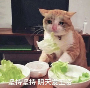猫咪艰难痛苦吃菜叶  坚持坚持明天发工资