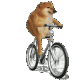 cheems柴犬骑自行车表情