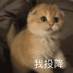 默认专辑