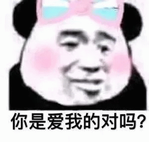 戴佳伟对吗表情包表情包图片 - 求表情网,斗图从此不求人!