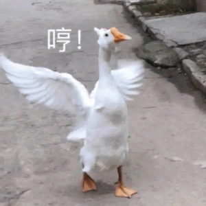 哼！表情包图片gif动图 - 求表情网,斗图从此不求人!
