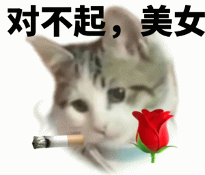 对不起 美女 叼着烟的猫咪配文“对不起，美女”，表情略带歉意与不羁