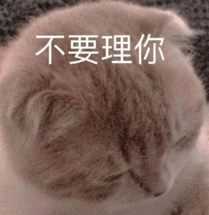 小猫咪不要理你表情包