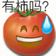 阴阳怪气食物有柿吗？