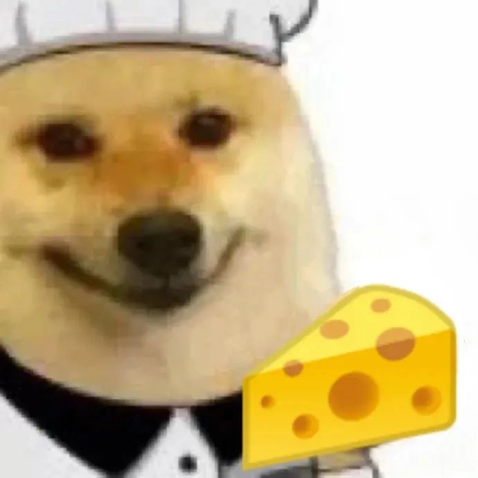柴犬吃奶酪表情包