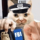 搞笑猫咪警长FBI  指人