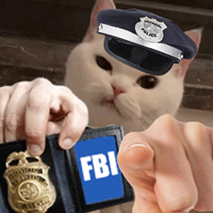 搞笑猫咪警长FBI 指人