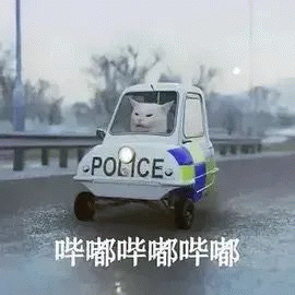 搞笑猫咪警长POLICE 哔嘟哔嘟哔嘟