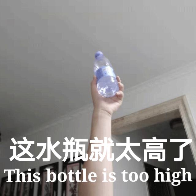 这水瓶就太高了 This bottle is too high表情包
