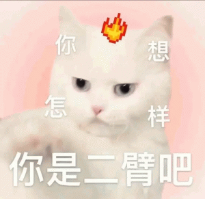 小猫咪你 想 怎 样 你是二臂吧表情包