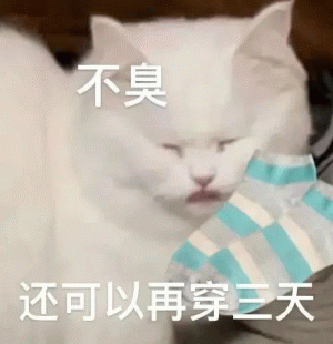 小猫咪不臭 还可以再穿三天表情包