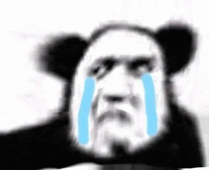 熊猫头流泪