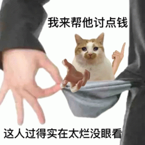 我来帮他讨点钱 这人过得实在太烂没眼看抽象小猫 猫咪从口袋探出,配文“我来帮他讨点钱 这人过得实在太烂没眼看”Meme GIF ...