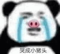 熊猫头哭成小猪头表情包