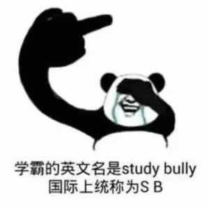 熊猫头学霸的英文名是study bully 国际上统称为SB表情包