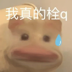 小仓鼠我真的栓q表情包 可爱萌宠表情委屈,配文“我真的栓q”尽显无奈表情包图片gif动图 - 求表情网,斗图从此不求人!