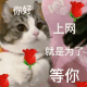 上网就是为了等你 猫咪玫瑰表情包来啦！