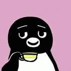 白色肚皮黑企鹅悠闲喝咖啡
