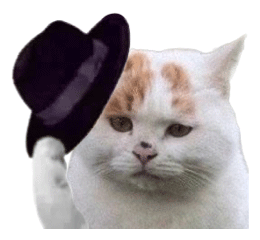 绅士小猫脱帽