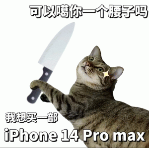 可以喝你一个腰子吗 我想买部 iPhone 14 Pro max iphone 14表情包  苹果表情包   搞笑表情包