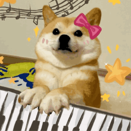 超可爱的沙雕狗狗乖巧弹琴