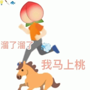 溜了溜了表情包图片 - 求表情网,斗图从此不求人!