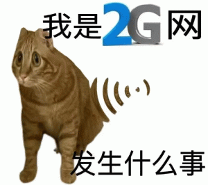 我是2G网 发生什么事 沙雕橘猫表情包     搞笑表情包