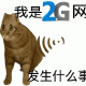我是2G网 发生什么事 沙雕橘猫表情包     搞笑表情包